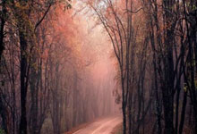 雷速体育:麦金:拉什福德展现出了最佳状态,我们想让他和阿森西奥开心起来.