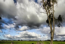 拉亚:欧国联冠军含金量毋庸置疑 小蜘蛛二次触球很轻微 要看规则.