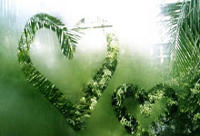 雷速体育：[英超]罗伯逊凶狠犯规 被红牌直接罚下.