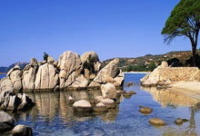 雷速体育:体坛联播|利物浦英超领先12分,巴萨晋级国王杯决赛.